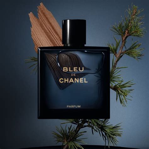 chanel 5 parfum homme|bleu de chanel 100ml prix.